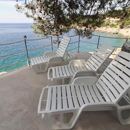 Marijana 普瑞兹巴